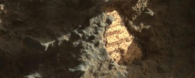 Уфолог обнаружил на Марсе древние морские раковины 