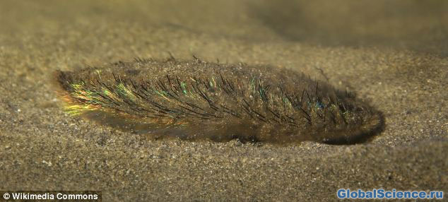 Глубоководный мохнатый червь