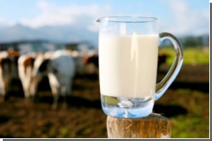В сыром молоке обнаружен новый вид бактерий