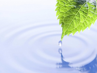 Чистая вода – источник здоровья и красоты