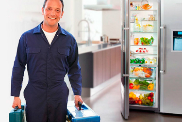 &#65279;Что предлагает мастер во время ремонта холодильников