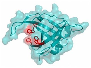 Обнаружен еще один протеин, умеющий восстанавливать ДНК