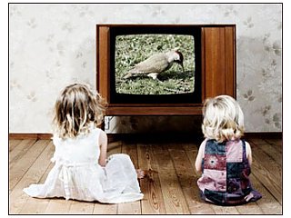 Телевидение оказывает негативное долгосрочное влияние на детей