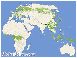 Ученые НАСА создали с помощью лазеров первую глобальную карту мировых лесов