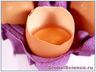 Как Сальмонелла попадает в яйца?