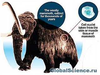 Вимерлий мамонт може бути відроджений через 4 роки завдяки знайденим в Росії викопних останків 