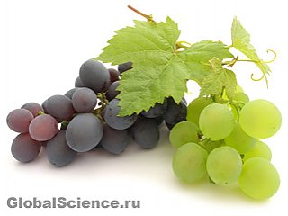 Виноград поможет при заболеваниях печени