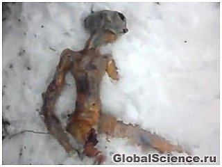 Тело мертвого инопланетянина было обнаружено в Сибири