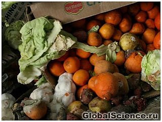 Свыше миллиарда тонн пищи идет в отходы каждый год
