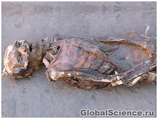 В нубийских мумиях обнаружены следы современных болезней