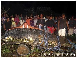 У Філіппінах після тритижневої полювання був спійманий гігантський крокодил 