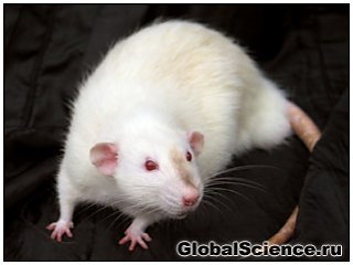 Нові синтетичні молекули лікують автоімунну хвороба у мишей 
