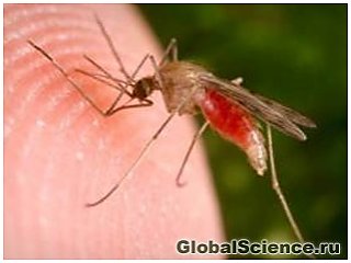 Люди привлекают малярию своим запахом