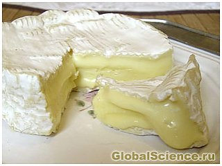 Швейцарские химики создают материал со свойством самоочистки из сырной корки
