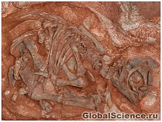 Гнездо самого древнего динозавра было найдено в Южной Африке