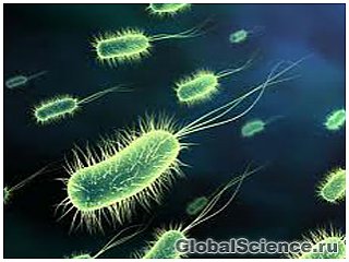 Выживаемость микроорганизмов связана с деградацией