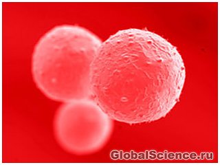 Новий метод боротьби з ВІЛ за допомогою стовбурових клітин 
