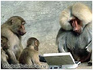 Мавпи здатні розрізняти слова 
