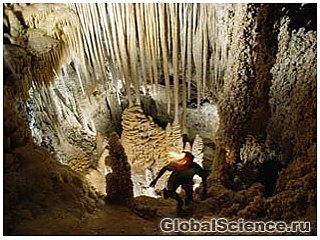 В изолированной пещере Нью-Мексико нашли устойчивые к антибиотикам бактерии