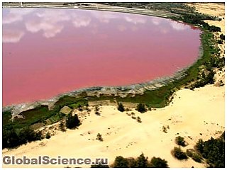 Загадочное ярко-розовое озеро в Сенегале