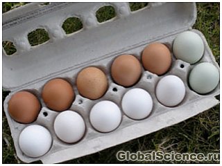 Замороженные яйца полезней для здоровья