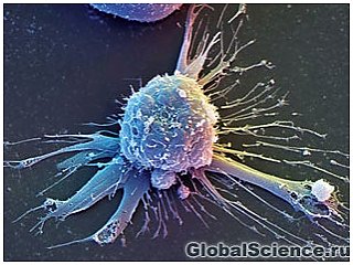 Раковые клетки можно победить