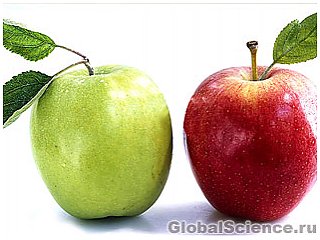 2 яблока в день избавят от лишнего веса и спасут от инфаркта