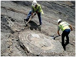 В Южной Америке нашли ископаемые  5-метровой черепахи