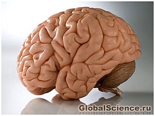 Американские специалисты утверждают, что человеческий мозг неподвластен старению