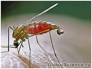 Ученые приблизились к созданию препарата от всех штаммов малярии