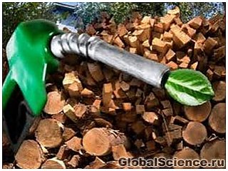 Биотопливо теперь будут получать из дерева