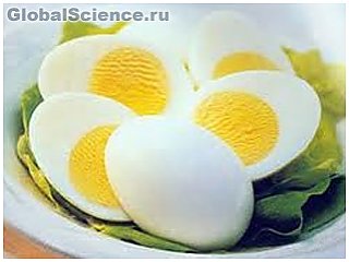 Курячі яйця борються з «поганим» холестерином 