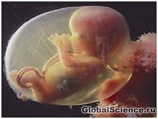 Во время беременности эмбрион должен видеть свет