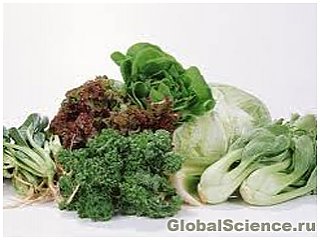Зеленые овощи защищают организм от вредных бактерий