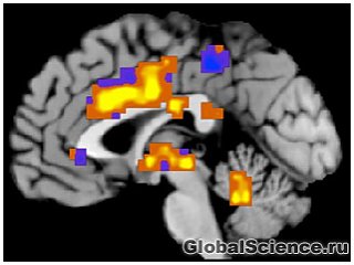 Сканування мозку дозволяє вимірювати рівень больових відчуттів 