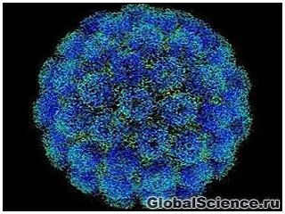 Вчені створили вірус, що вбиває ракові клітини 