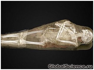 Посетители музея в Швеции увидят мумии изнутри