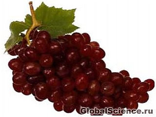 Красный виноград и черника усиливают деятельность иммунной системы