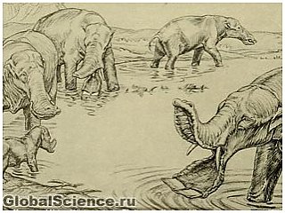 У доисторических слонов вместо хобота был клюв