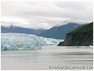 Древние деревья обнаружены подо льдами Аляски