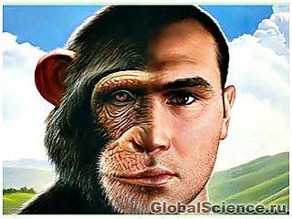 Различия в психике человека и шимпанзе обусловлены их физическим строением