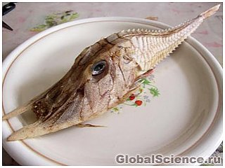 Неизвестный науке вид рыбы поймали у берегов Борнео