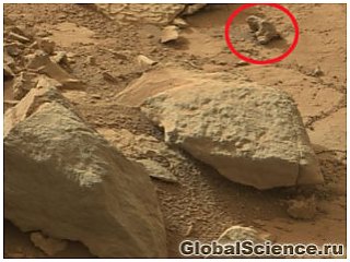 На Марсе замечена окаменевшая игуана