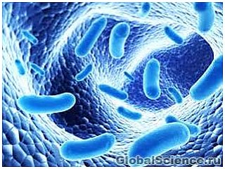 Эксперты: бактерии угрожают человечеству