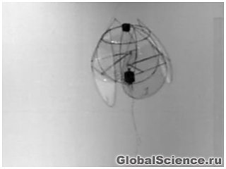 Американские ученые сконструировали летающего робота-медузу