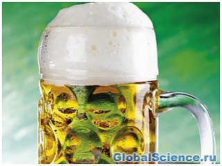 Ученые заявили, что пиво ухудшает память