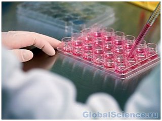 Учеными придуман метод легкого получения стволовых клеток