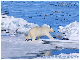Выяснены причины таяния арктических льдов