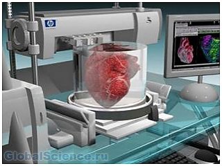 Ученые напечатают трехмерное сердце на принтере
