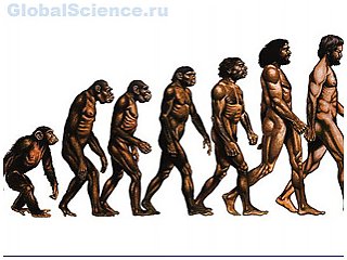 Американские учёные пробуют оспорить теорию эволюции